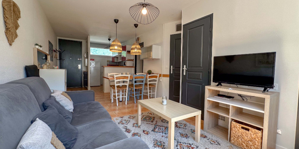 appartement à ST LARY SOULAN (65170)